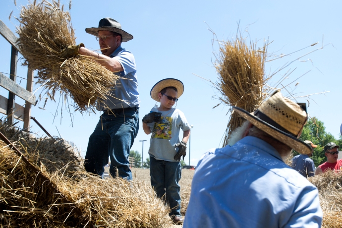 Bo Johnson of Bristow, 6, stood in the middle of men working during the Schnellville Sesquicentennial wheat threshing on Sunday at the field outside of the Schnellville Community Club. This event occurs every 25 years.
